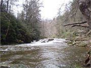 Spring Creek 2